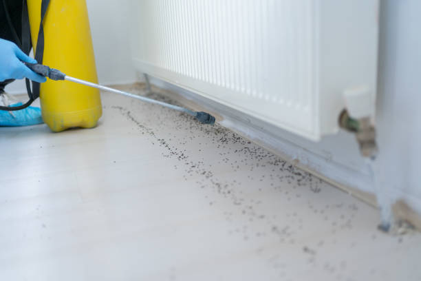 Best Pest Prevention Services  in Lino Lakes, MN